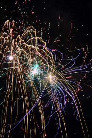 Firework Willow